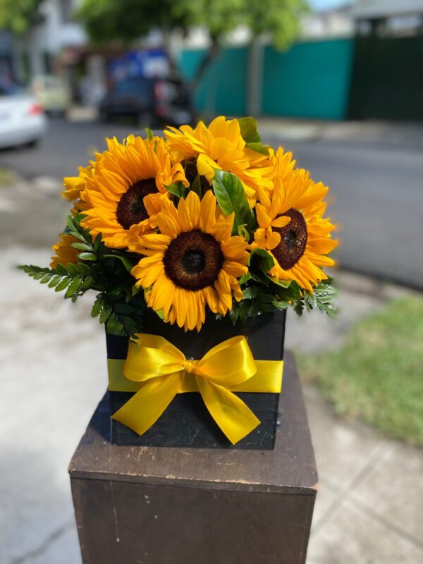 Floristeria-Santa-tecla-caja-de-girasoles.